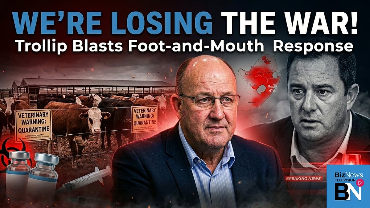 Athol Trollip: Government’s FMD response is a “national disaster”
