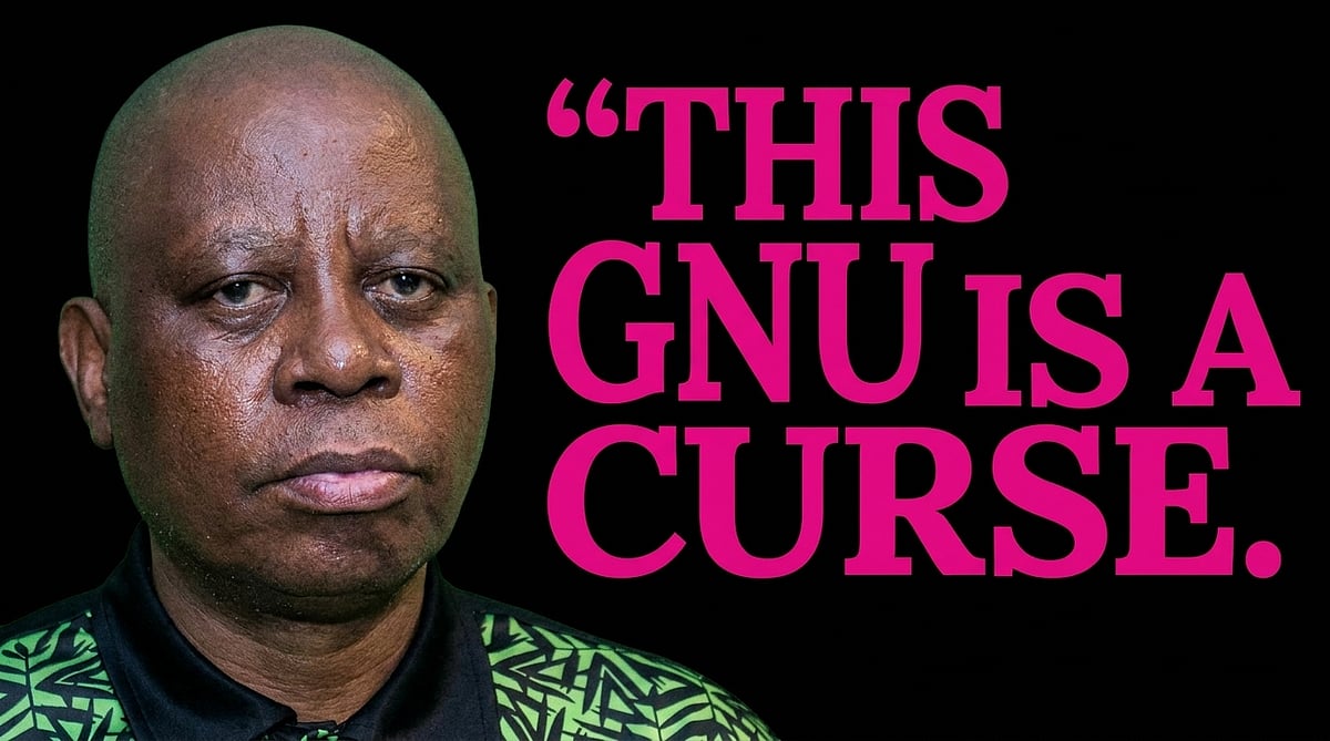Herman Mashaba: The “curse” of the GNU – and the missing mayoral chain…