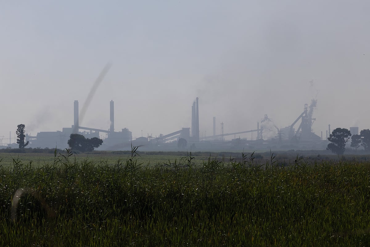 SA’s industrial masterplans are quietly protecting monopolies, not fixing them: Donald MacKay